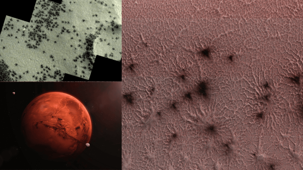 SPIDERS on Mars- Experts Decode Astonishing Images of Possible Spiders in 2024 Spiders on mars