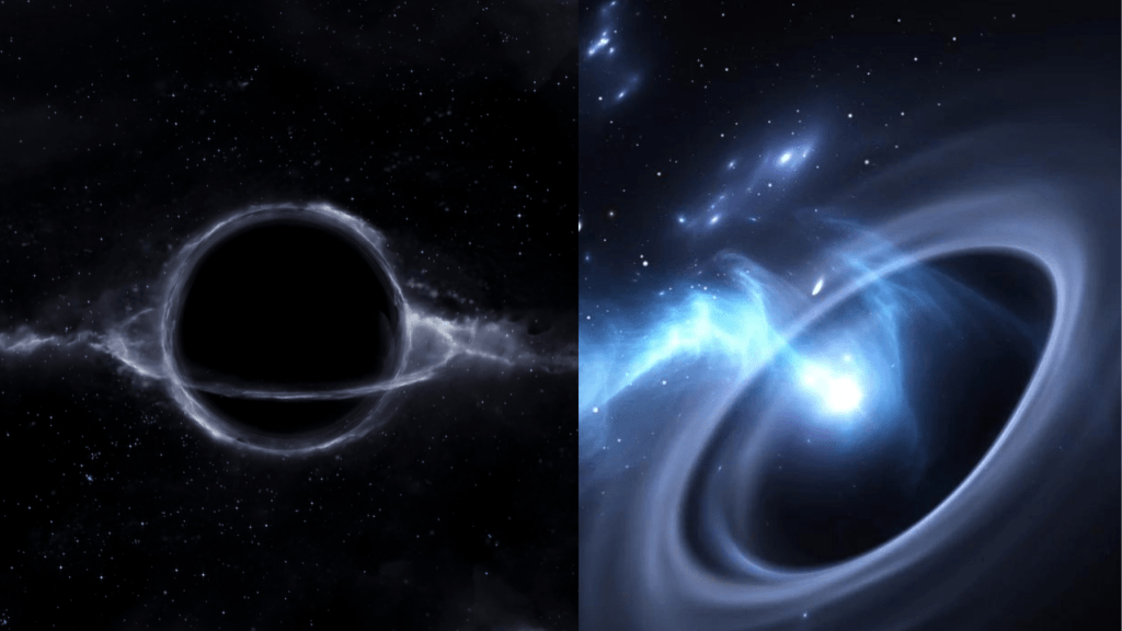 Stellar Black Hole