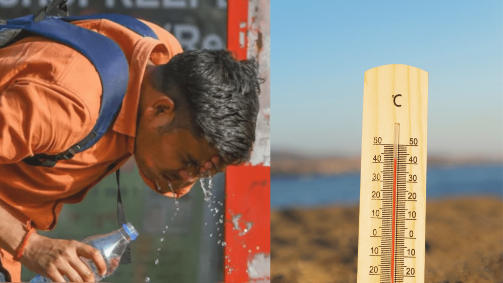 IMD Heatwave Alert For Next 2 Days: Essential Dos & Don'ts for Staying Safe Heatwave Alert in India