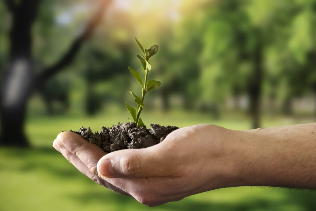 World Environment Day 2024