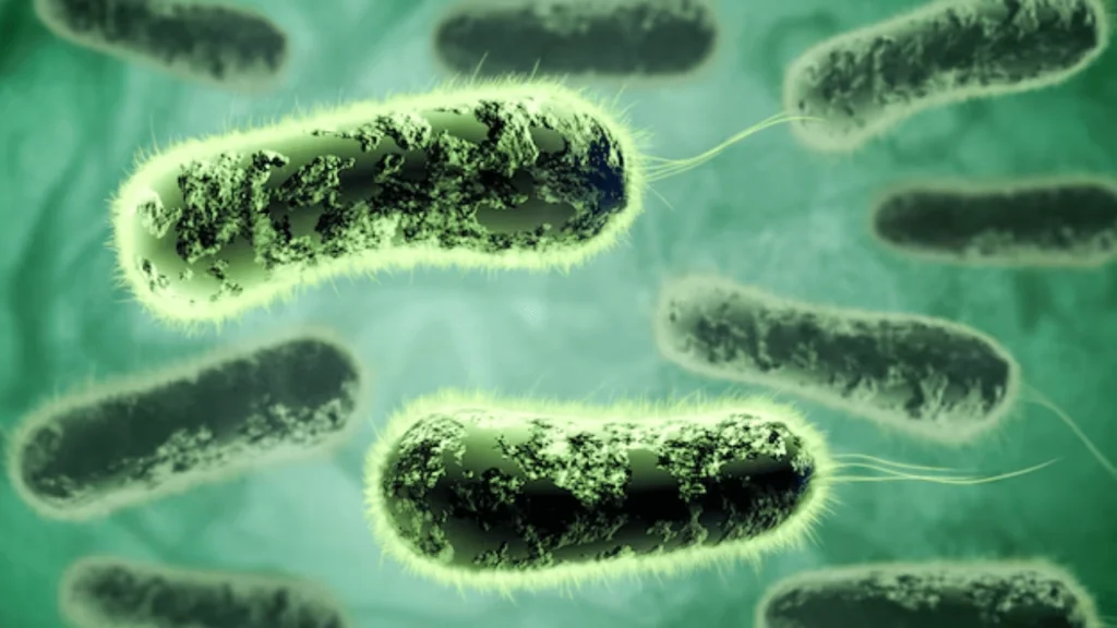 Deadly Listeria Outbreak Linked to Deli Meats Across 12 States: What You Need to Know Deadly Listeria Outbreak Linked to Deli Meats Across 12 States: What You Need to Know