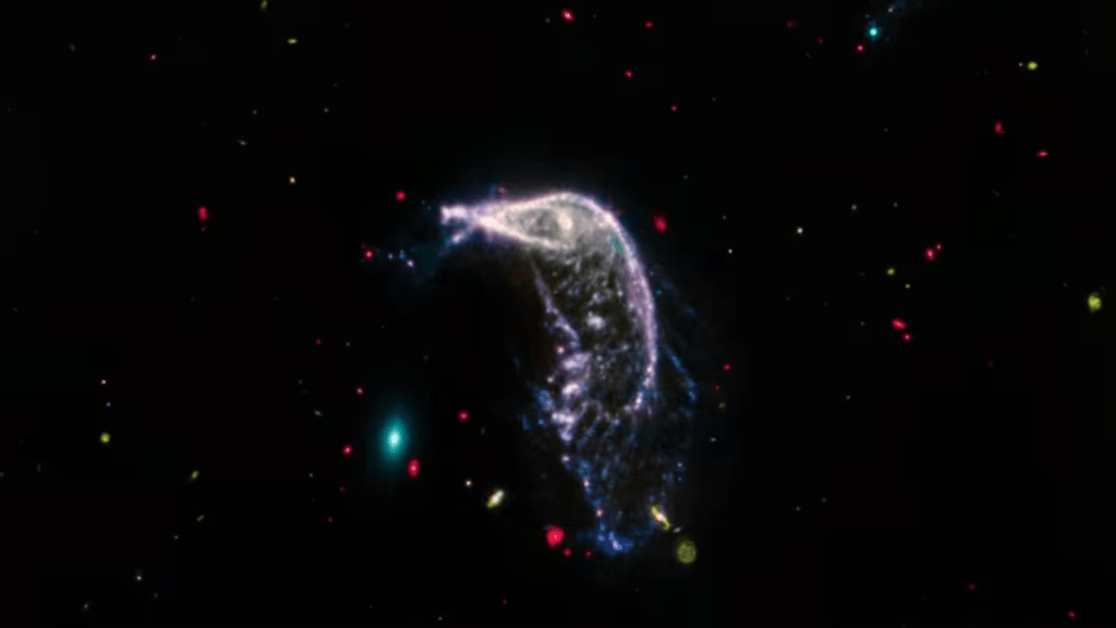 The penguin and the egg