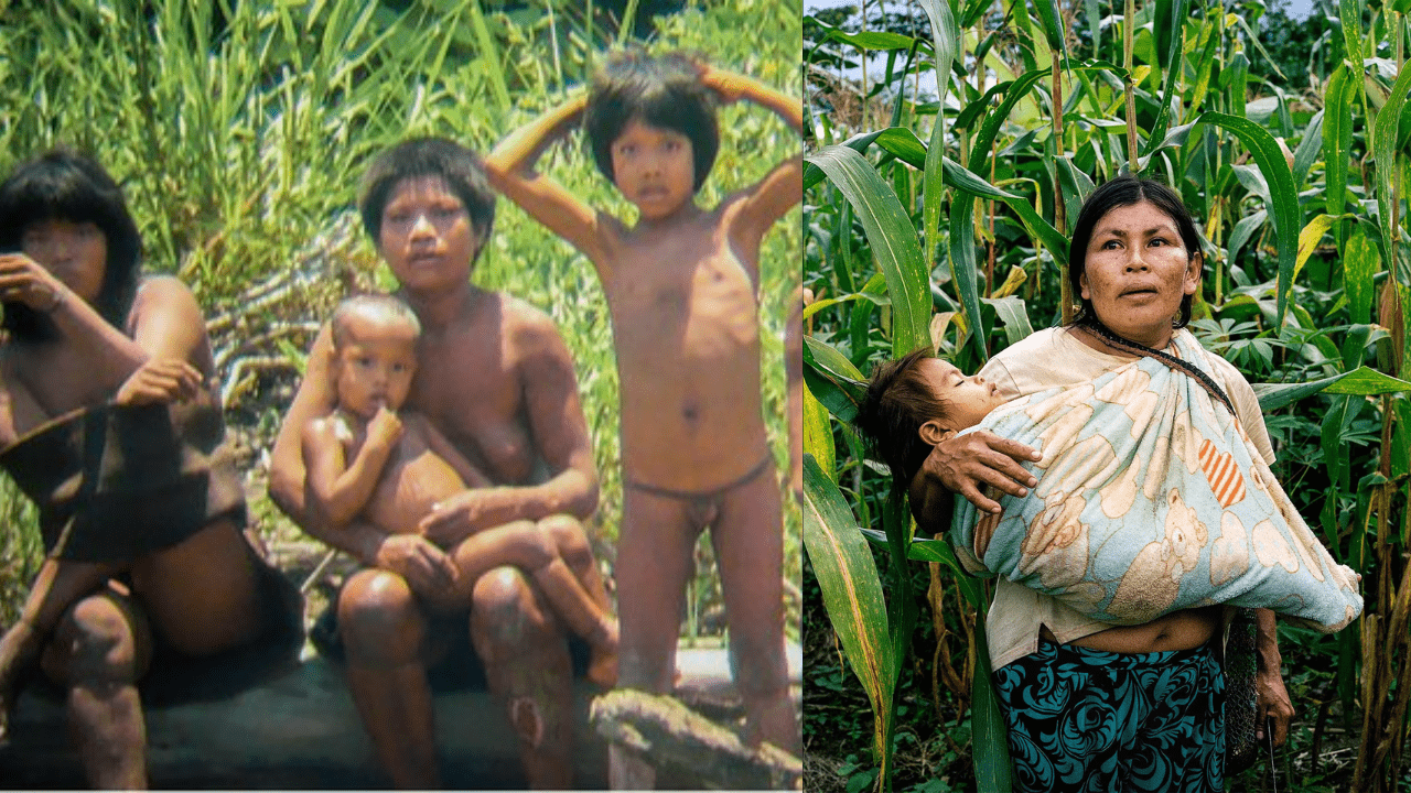 Mashco Piro Tribe: Rare Footage Reveals Life of the World's Largest Isolated Tribe Mashco Piro