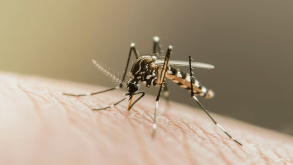 EEE Virus Sparks Rising Concerns in Massachusetts: What It Is and Safety Measures You Should Know EEE Virus Sparks Rising Concerns in Massachusetts: What It Is and Safety Measures You Should Know