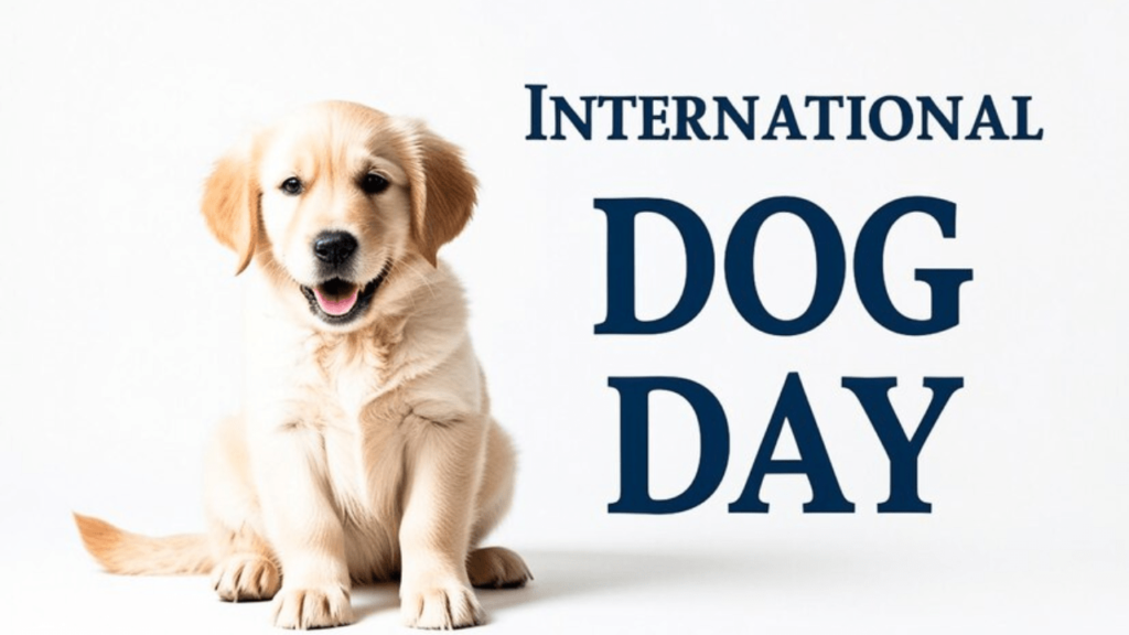 international dog day