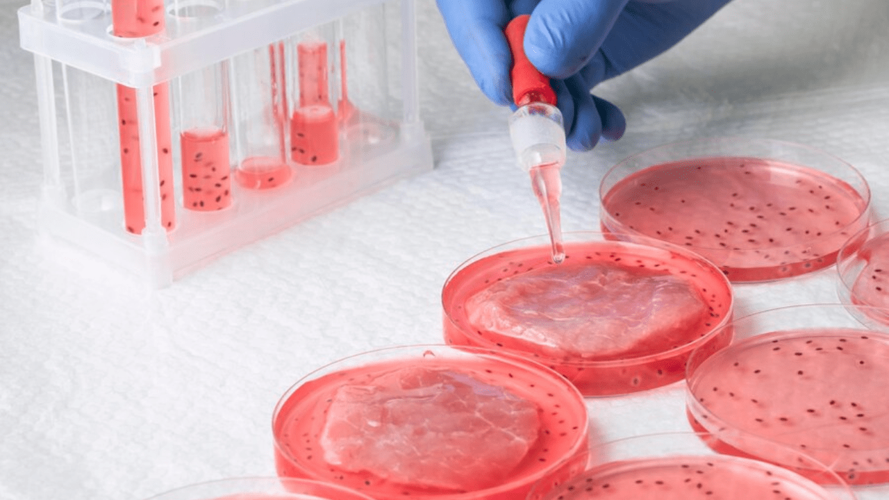 The Rise of Lab-Grown Meat