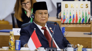 What Is Dysautonomia? Understanding the Hidden Symptoms, Causes, and Treatment Options of the Illness Impacting Millions Indonesia joins Brics